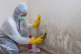 Best Mold Prevention Services  in Town And Country, WA